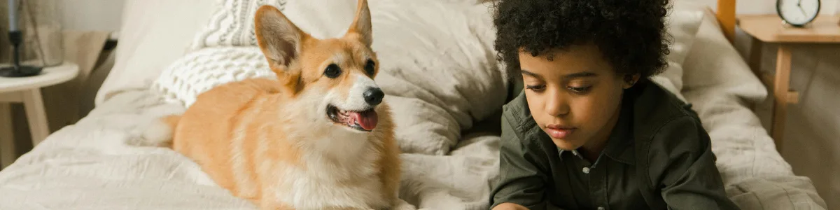 The Importance of Caring for Your Pet’s Bedding: A Guide to Healthy and Happy Pets